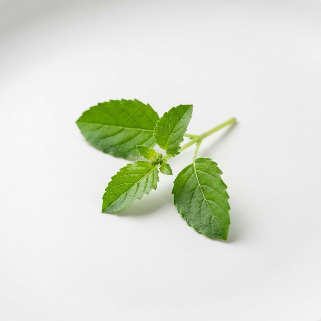 Tulsi